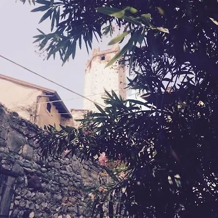 Сasa de vacaciones Wedding And Family House *